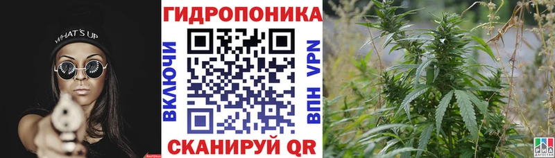 Конопля марихуана  Пролетарск 